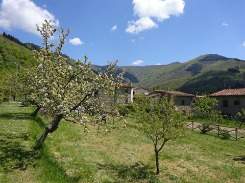 Blooming trees and stone houses beneath green hills, blue sky with clouds
