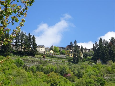 Village with yellow houses among green firs and terraces under blue sky
