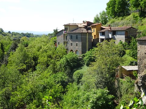 Stone and yellow houses above green woodland, midday light