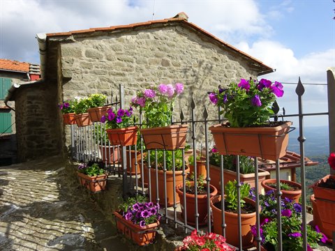 Terracotta flower pots on an iron fence beside a stone house in a hillside village