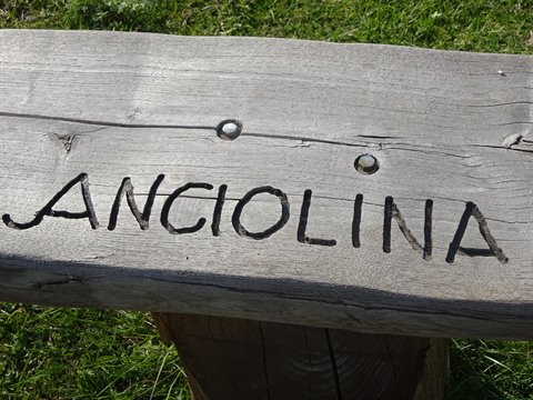 Wooden beam carved with the word Anciolina, rusty nails, sunlight on grass