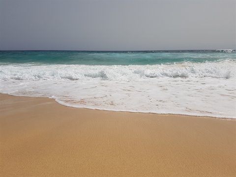 White waves breaking on golden sand under a gray sky