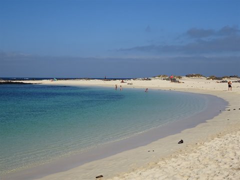 White sand beach with turquoise water, swimmers and blue sky