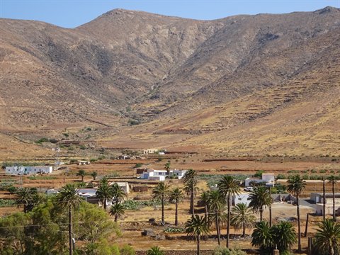 Vega de Río Palmas, white houses among palms and arid mountains in Fuerteventura