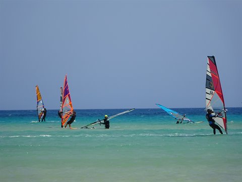 Windsurfers with colorful sails on turquoise shallow water under clear sky
