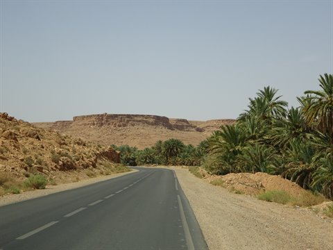 Strada asfaltata tra palme e colline rocciose vicino a Tinghir