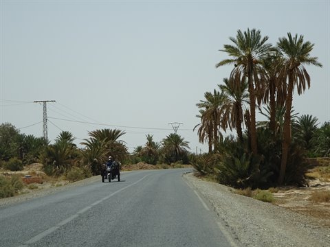 Moto su strada asfaltata tra palme e tralicci verso Errachidia