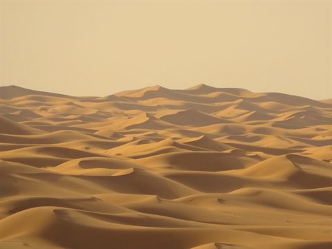 Dune dorate dell'Erg Chebbi a Merzouga sotto la luce del mattino