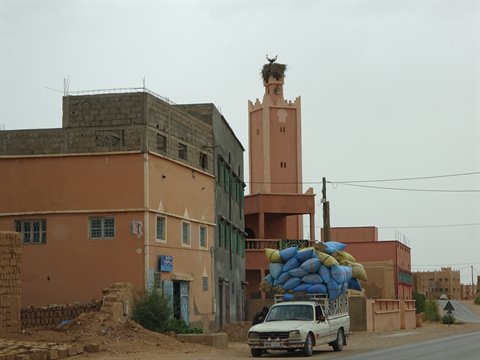 Camilioncino carico di sacchi blu davanti al minareto rosa di Tinghir