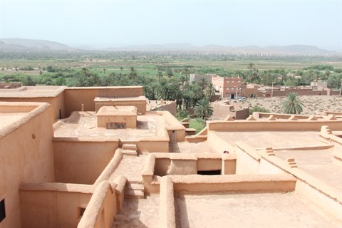 Rammed-earth rooftops of Ait Ben Haddou kasbah overlooking the palm grove