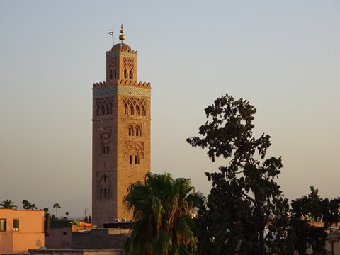 Koutoubia di Marrakech, minaretto in pietra tra alberi nella luce dorata