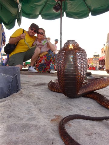 Tourists crouching beside a swaying cobra on Jemaa el-Fna, Marrakech