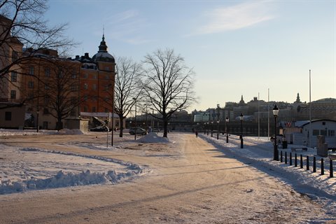 Snowy promenade in Stockholm, historic buildings and bare trees in winter light