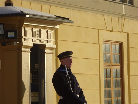 Royal guard standing outside the Stockholm Royal Palace in winter light