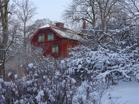 Red wooden house in snow among bare trees, Skansen, Stockholm