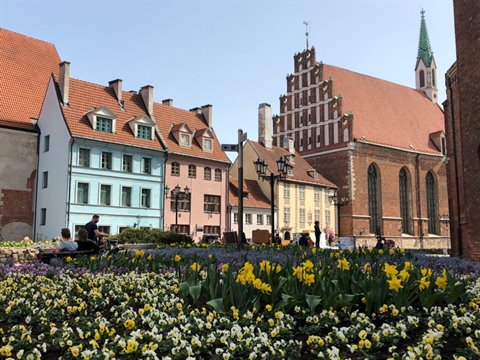 Colorful houses and brick church beside flower beds with tulips in Riga