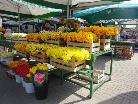 Flower stall at the market, yellow daffodils and tulips in wooden crates