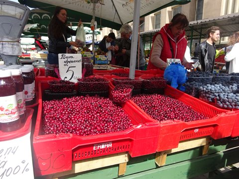 Market stall with red crates of currants and blueberries, vendors serving customers