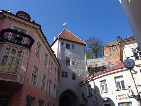 White medieval tower with red roof among colorful houses, Tallinn