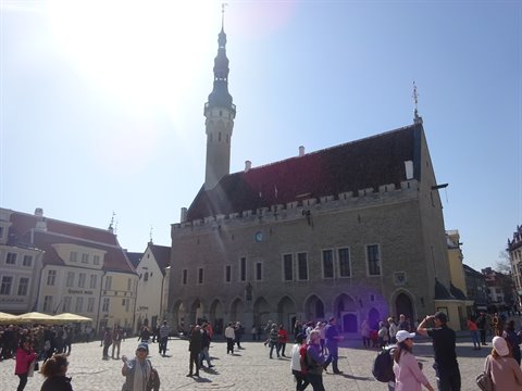 Tourists in front of Tallinn's gothic Town Hall, sunlit tower