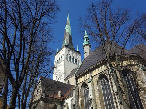 St. Olaf's Church in Tallinn, green spire among bare trees, blue sky