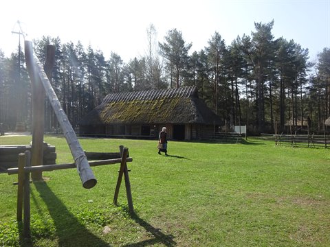 Woman walks toward a log farmhouse with thatched roof among pines