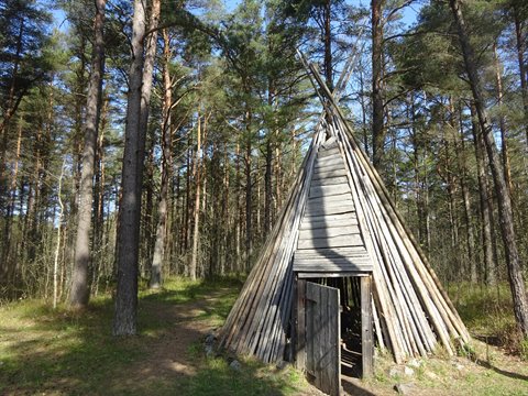 Wooden log teepee hut with open door in a sunlit pine forest