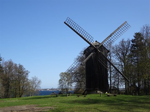 Old black wooden windmill with bare sails, green lawn, blue sky