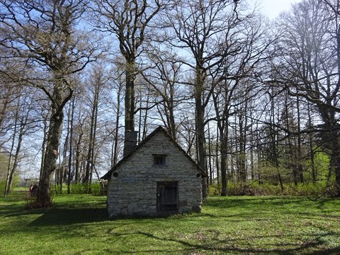Small stone cottage with wooden door among bare trees on green grass
