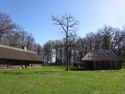 Wooden houses with thatched roofs on green meadow, bare trees, blue sky