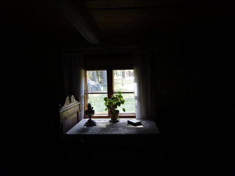 Dark wooden cottage interior, window light on potted plant and table