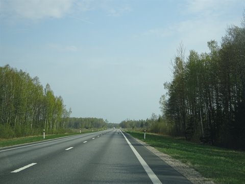 Nearly empty highway lined with green trees and birches, blue sky with clouds