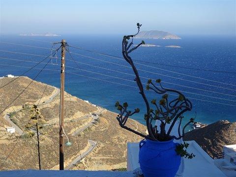Dry plant in blue pot on white terrace above the Aegean sea and hills