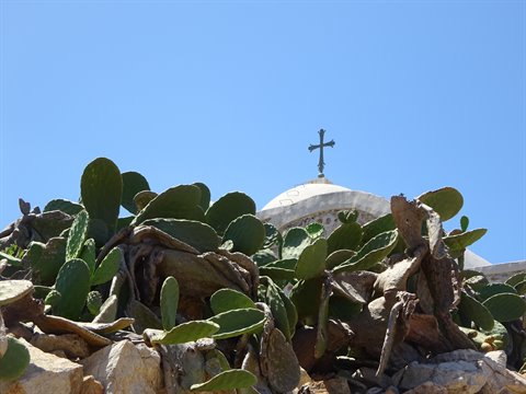Prickly pears in front of a small white church dome with iron cross