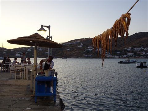Octopuses hanging to dry on a harbor pier in front of a Greek tavern