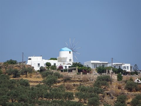 White windmill with blue roof among houses and olive groves in Sifnos