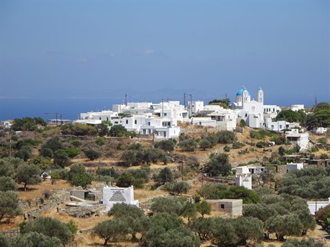 Whitewashed village with blue-domed church among olive trees, Sifnos