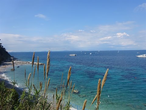 Reeds in foreground over pebble beach, turquoise water with boats and sailboats