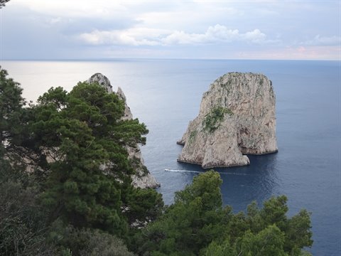 The Faraglioni rocks of Capri rise from the sea among pines