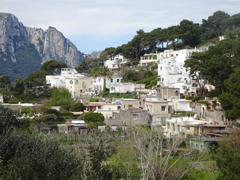 White houses on Capri hillside beneath rocky cliffs