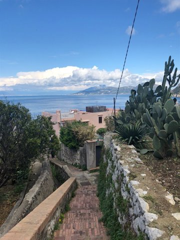 Brick staircase between prickly pears facing the strait of Messina