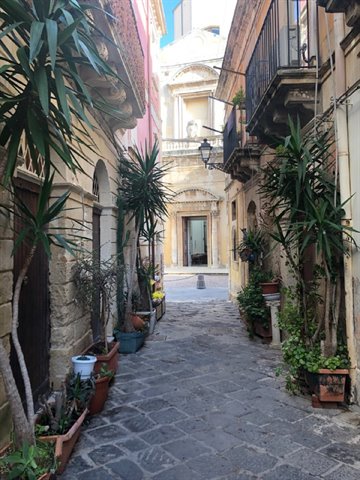 Stone alley with potted plants and baroque facade in sunlight