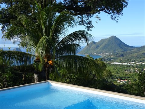 Pool with palm tree and Mont Pelé overlooking Saint-Pierre bay