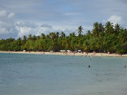 Swimmers on white sand beneath palms at Plage des Salines