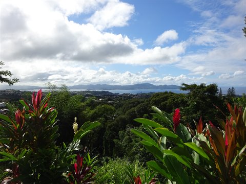 Red ginger flowers on green hillside, bay and mountains under clouds