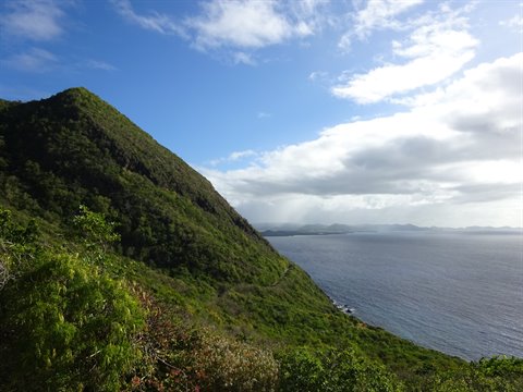 Green tropical hillside sloping down to blue sea under white clouds
