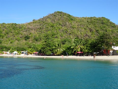 Beach with palms and swimmers below green hills, turquoise water