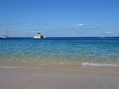 Catamaran and sailboats anchored on turquoise sea and sandy beach