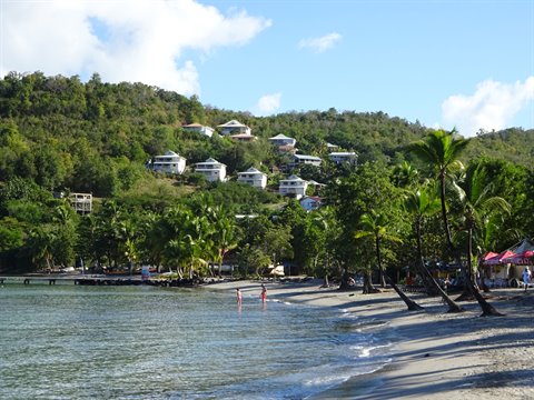 Caribbean beach with palm trees, swimmers and white houses on green hill