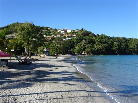 Tropical beach with pale sand, palm trees, sun loungers and green hillside houses